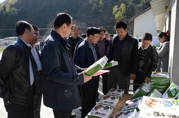 柞水县召开农村经济现场观摩会议